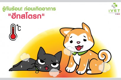 รู้ทันร้อน! ก่อนเกิดอาการ "ฮีทสโตรก"